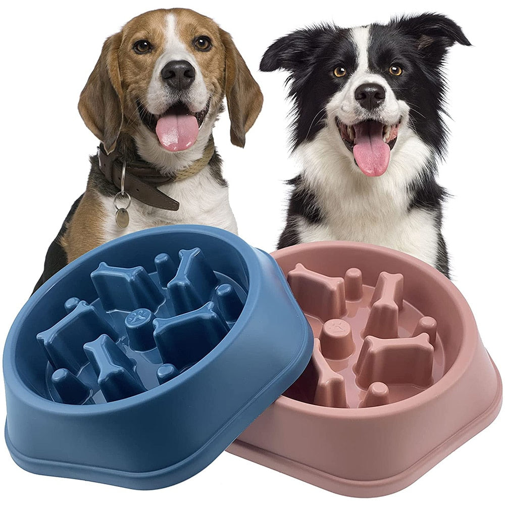 Bone Slow Feeder Dog Bowl - Pets and More