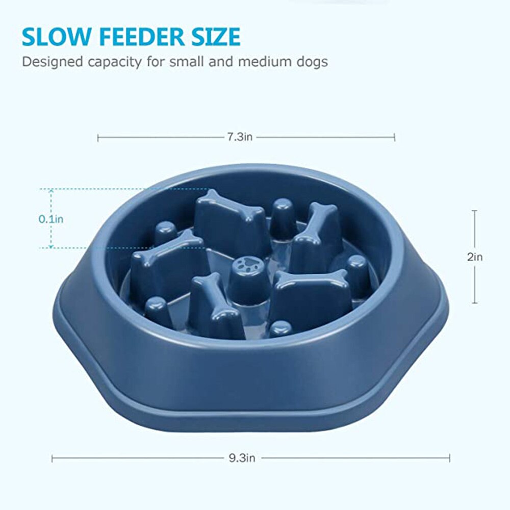 Bone Slow Feeder Dog Bowl - Pets and More