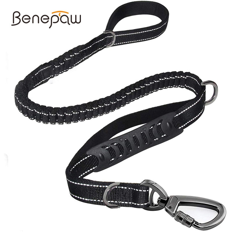 Bungee Reflective Dog Leash - Pets and More