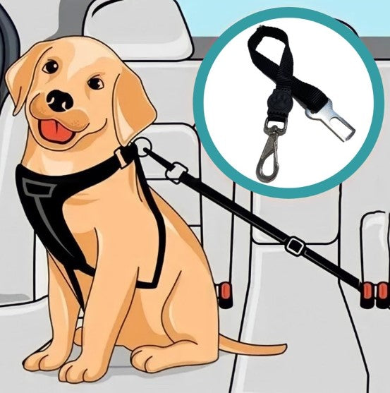 Pet Seatbelt - Pets and More