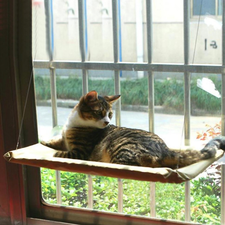 Cat Window Bed - Pets and More
