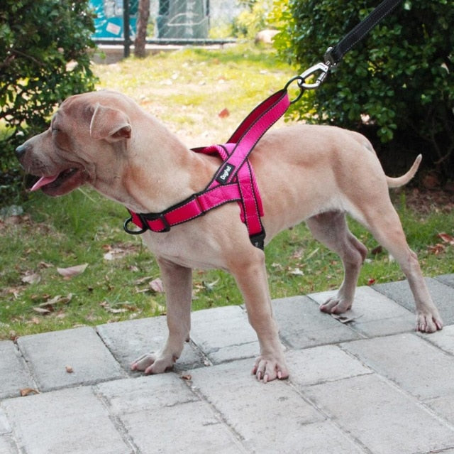 Adjustable Dog Harness - Pets and More