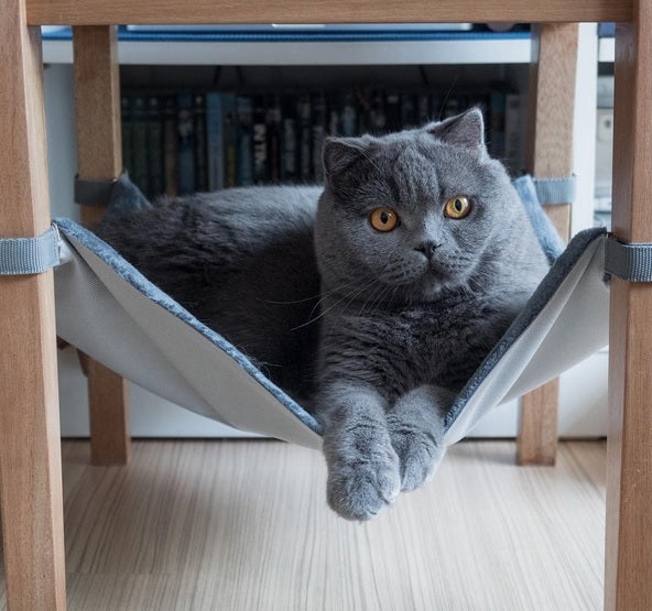 Isle of Emerald Saveplace® hammock - Pets and More