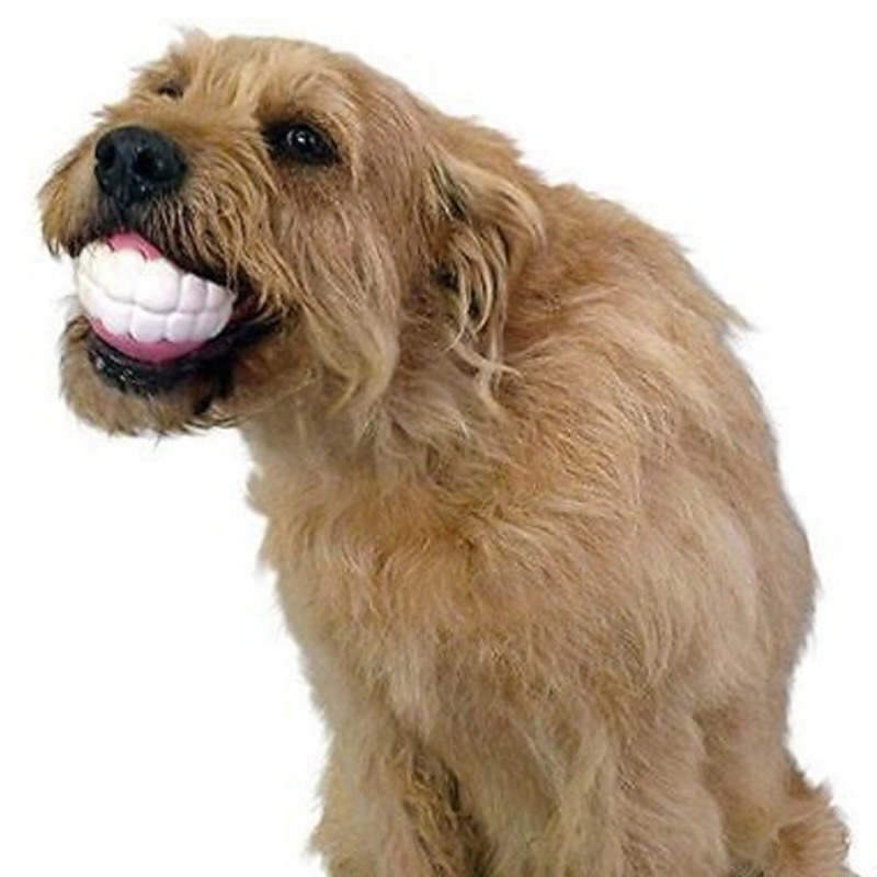 Pet Ball Teeth Silicon Chew Toys for Large Breeds - Pets and More